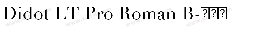 Didot LT Pro Roman B字体转换 Didot LT Pro Roman B字体转换